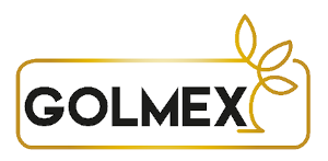 logo-golmexBlack-2.png